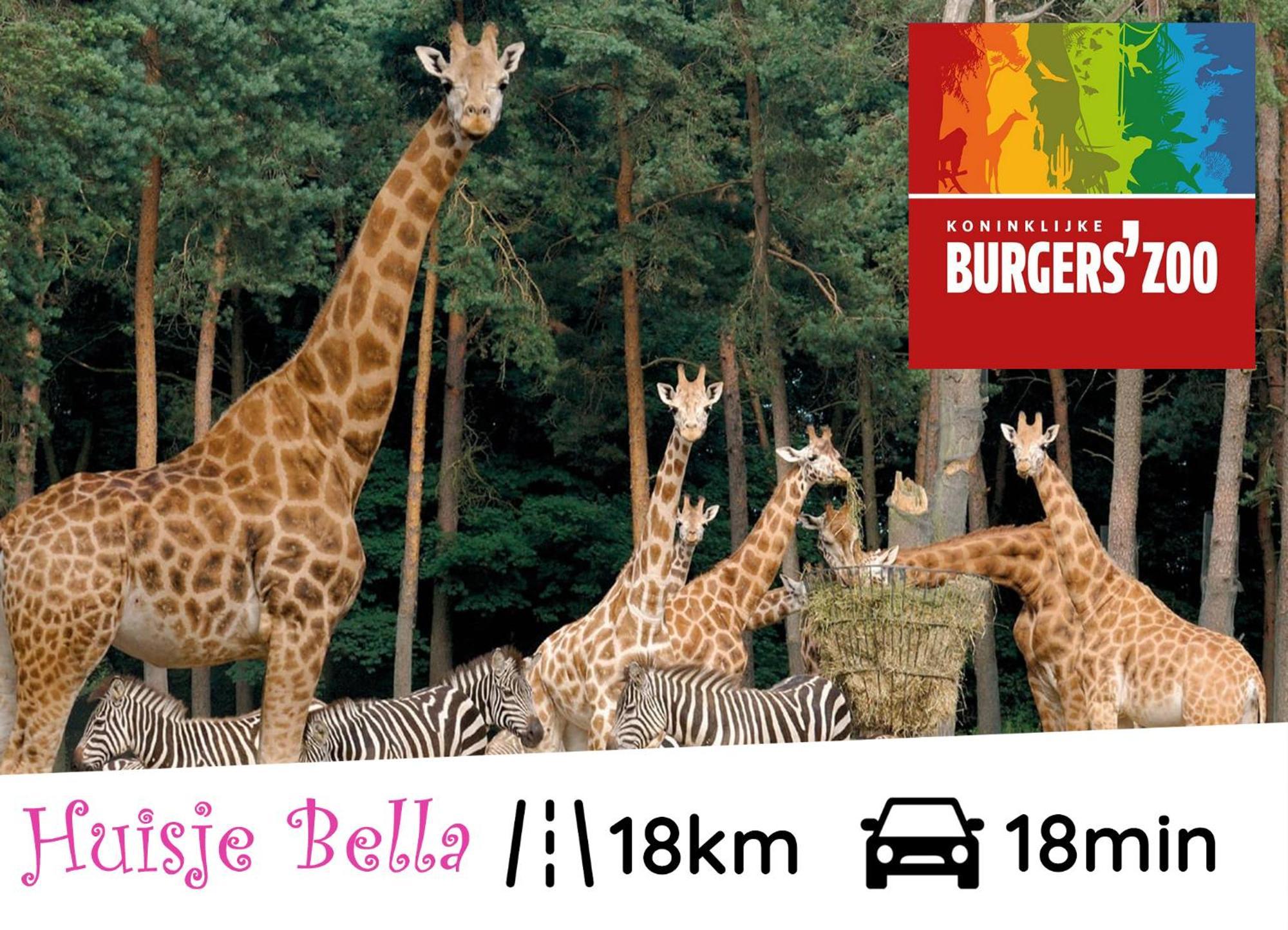 Chalet Huisje Bella Op De Veluwe Max 2 Volwassene Beekbergen Exteriör bild